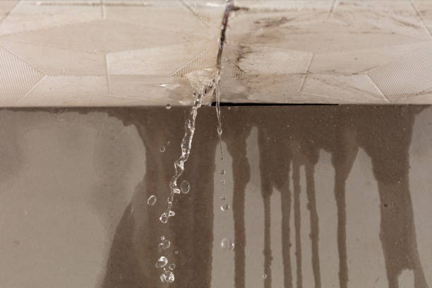 Professional Water Extraction technician working in University Center, MI